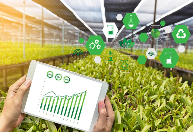 Optimizing Agriculture